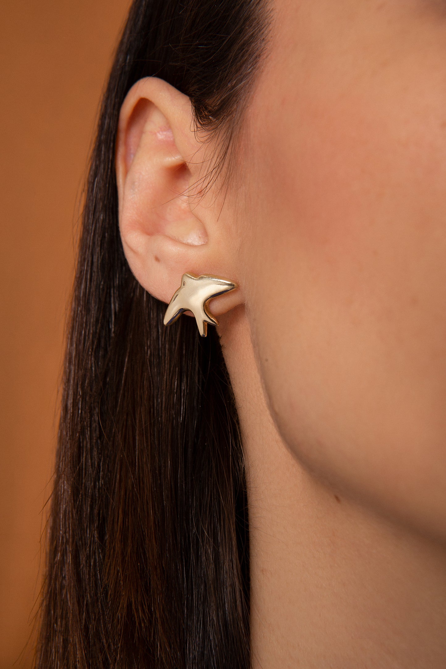 VOLAR EARRINGS